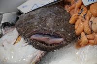 Fischgesicht &ndash; &copy; Andreas Böcker (Eberhardt TRAVEL)