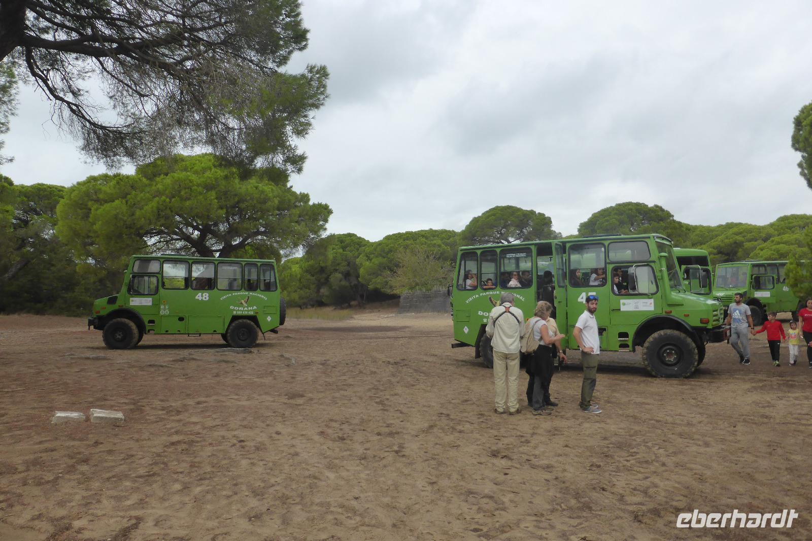 125-Parque_Nacional_Coto_de_Donana &ndash; &copy; Dirk Schlosser (Eberhardt TRAVEL)