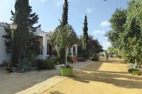 088-Olivenhacienda_Basilippo &ndash; &copy; Dirk Schlosser (Eberhardt TRAVEL)