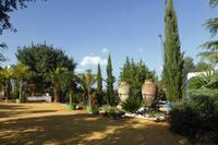 089-Olivenhacienda_Basilippo &ndash; &copy; Dirk Schlosser (Eberhardt TRAVEL)