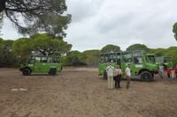125-Parque_Nacional_Coto_de_Donana &ndash; &copy; Dirk Schlosser (Eberhardt TRAVEL)