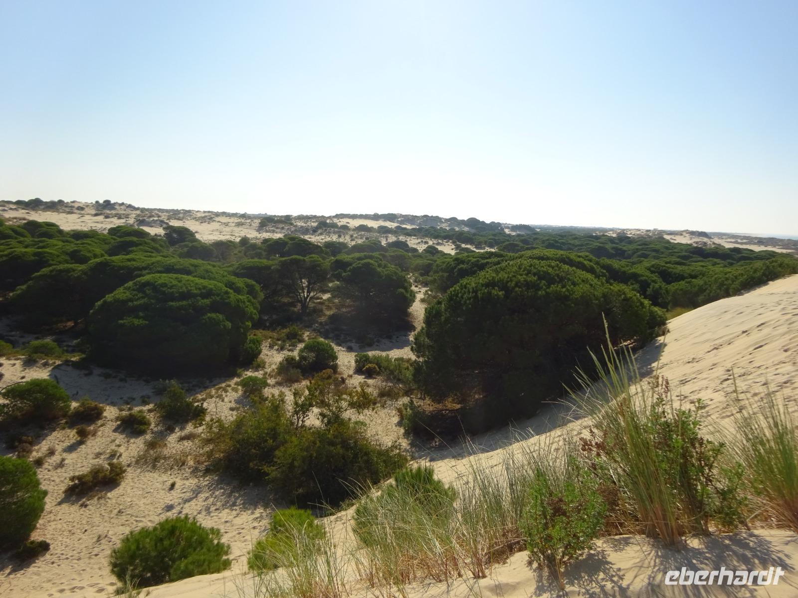 Donana (5) &ndash; &copy; Francisco Javier Burgos Gutierrez (Eberhardt TRAVEL)