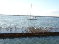 Segelboot (6) &ndash; &copy; Francisco Javier Burgos Gutierrez (Eberhardt TRAVEL)