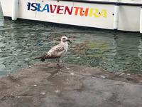 Isla Cristina (10) &ndash; &copy; Francisco Javier Burgos Gutierrez (Eberhardt TRAVEL)
