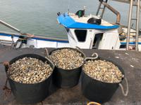 Isla Cristina (12) &ndash; &copy; Francisco Javier Burgos Gutierrez (Eberhardt TRAVEL)