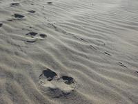Donana (1) &ndash; &copy; Francisco Javier Burgos Gutierrez (Eberhardt TRAVEL)