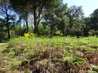 Donana (10) &ndash; &copy; Francisco Javier Burgos Gutierrez (Eberhardt TRAVEL)