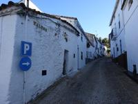 Castano del Robledo (5) &ndash; &copy; Francisco Javier Burgos Gutierrez (Eberhardt TRAVEL)