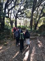 Castano del Robledo (20) &ndash; &copy; Francisco Javier Burgos Gutierrez (Eberhardt TRAVEL)