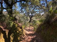 Linares (13) &ndash; &copy; Francisco Javier Burgos Gutierrez (Eberhardt TRAVEL)