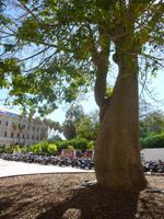 Malaga &ndash; &copy; Grit Wendelberger (Eberhardt TRAVEL)