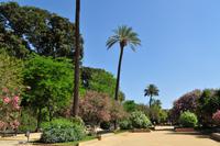 Sevilla &ndash; &copy; Martin Büchner (Eberhardt TRAVEL)