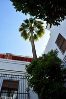 Sevilla &ndash; &copy; Martin Büchner (Eberhardt TRAVEL)