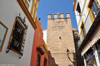Sevilla &ndash; &copy; Martin Büchner (Eberhardt TRAVEL)