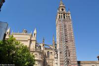 Sevilla - Dom mit Glockenturm Giralda (UNESCO Weltkulturerbe) &ndash; &copy; Martin Büchner (Eberhardt TRAVEL)