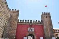 Andalusien (85) &ndash; &copy; Martin Büchner (Eberhardt TRAVEL)