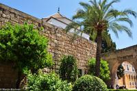 Andalusien (87) &ndash; &copy; Martin Büchner (Eberhardt TRAVEL)