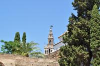 Andalusien (92) &ndash; &copy; Martin Büchner (Eberhardt TRAVEL)