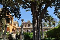 Andalusien (114) &ndash; &copy; Martin Büchner (Eberhardt TRAVEL)