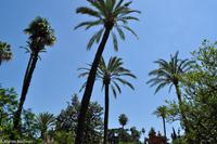 Andalusien (115) &ndash; &copy; Martin Büchner (Eberhardt TRAVEL)