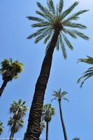 Andalusien (116) &ndash; &copy; Martin Büchner (Eberhardt TRAVEL)