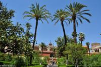 Andalusien (118) &ndash; &copy; Martin Büchner (Eberhardt TRAVEL)