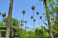 Andalusien (120) &ndash; &copy; Martin Büchner (Eberhardt TRAVEL)