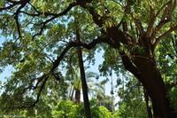 Andalusien (121) &ndash; &copy; Martin Büchner (Eberhardt TRAVEL)