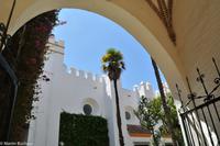 Andalusien (122) &ndash; &copy; Martin Büchner (Eberhardt TRAVEL)