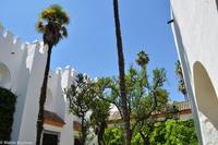 Andalusien (123) &ndash; &copy; Martin Büchner (Eberhardt TRAVEL)