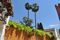 Andalusien (126) &ndash; &copy; Martin Büchner (Eberhardt TRAVEL)