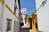 Andalusien (127) &ndash; &copy; Martin Büchner (Eberhardt TRAVEL)