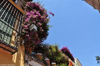 Andalusien (129) &ndash; &copy; Martin Büchner (Eberhardt TRAVEL)