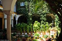Andalusien (130) &ndash; &copy; Martin Büchner (Eberhardt TRAVEL)