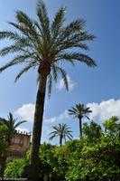 Cordoba &ndash; &copy; Martin Büchner (Eberhardt TRAVEL)