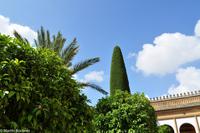 Cordoba &ndash; &copy; Martin Büchner (Eberhardt TRAVEL)