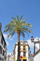 Andalusien (168) &ndash; &copy; Martin Büchner (Eberhardt TRAVEL)