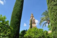 Andalusien (173) &ndash; &copy; Martin Büchner (Eberhardt TRAVEL)