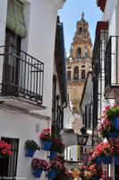 Andalusien (187) &ndash; &copy; Martin Büchner (Eberhardt TRAVEL)