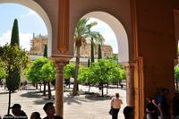 Andalusien (189) &ndash; &copy; Martin Büchner (Eberhardt TRAVEL)
