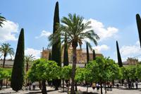 Andalusien (190) &ndash; &copy; Martin Büchner (Eberhardt TRAVEL)