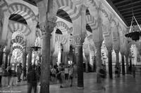 Andalusien (208) &ndash; &copy; Martin Büchner (Eberhardt TRAVEL)