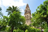 Andalusien (231) &ndash; &copy; Martin Büchner (Eberhardt TRAVEL)