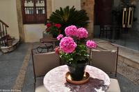 Andalusien (243) &ndash; &copy; Martin Büchner (Eberhardt TRAVEL)