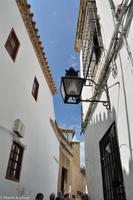 Andalusien (246) &ndash; &copy; Martin Büchner (Eberhardt TRAVEL)