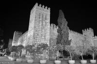 Andalusien (293) &ndash; &copy; Martin Büchner (Eberhardt TRAVEL)