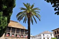 Andalusien (334) &ndash; &copy; Martin Büchner (Eberhardt TRAVEL)