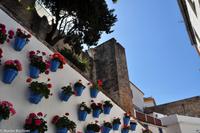 Andalusien (359) &ndash; &copy; Martin Büchner (Eberhardt TRAVEL)