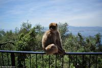 Andalusien (375) &ndash; &copy; Martin Büchner (Eberhardt TRAVEL)
