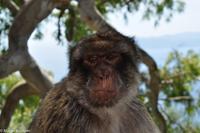 Andalusien (384) &ndash; &copy; Martin Büchner (Eberhardt TRAVEL)